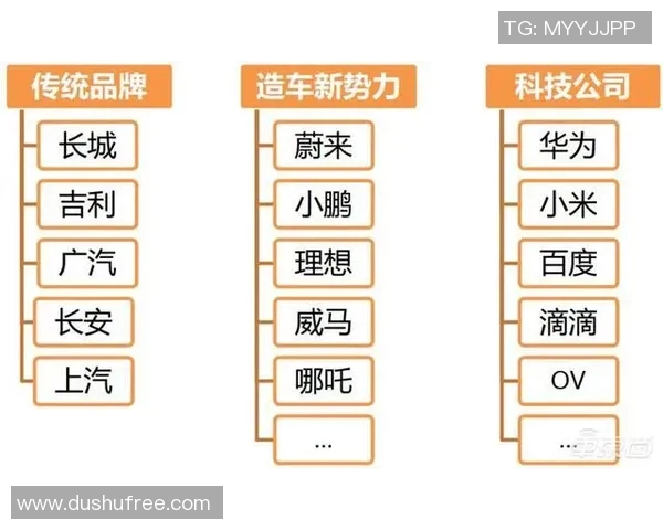 深度剖析曼联当前状态与未来发展趋势的全面预测